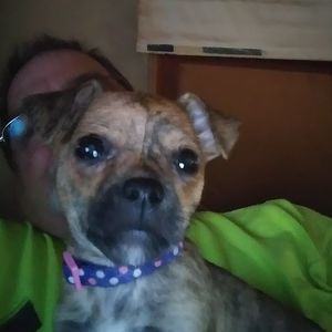 Meet your Posher, Wesley